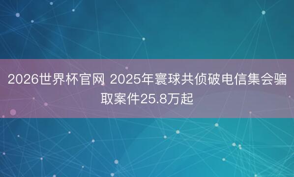 2026世界杯官网 2025年寰球共侦破电信集会骗取案件25.8万起
