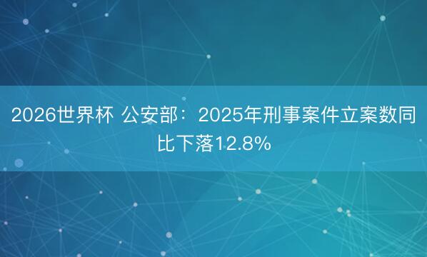 2026世界杯 公安部：2025年刑事案件立案数同比下落12.8%