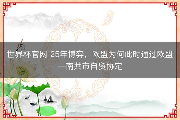 世界杯官网 25年博弈,欧盟为何此时通过欧盟—南共市自贸协定