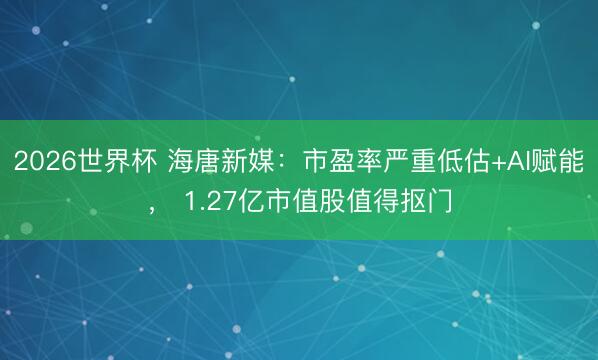 2026世界杯 海唐新媒：市盈率严重低估+AI赋能， 1.27亿市值股值得抠门