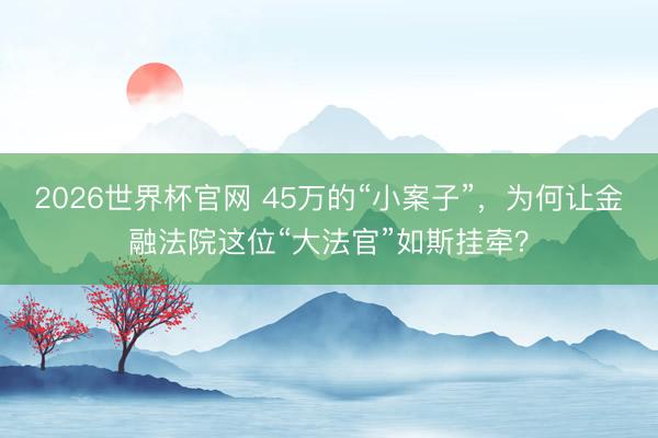 2026世界杯官网 45万的“小案子”,为何让金融法院这位“大法官”如斯挂牵?