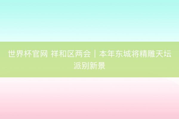 世界杯官网 祥和区两会｜本年东城将精雕天坛派别新景