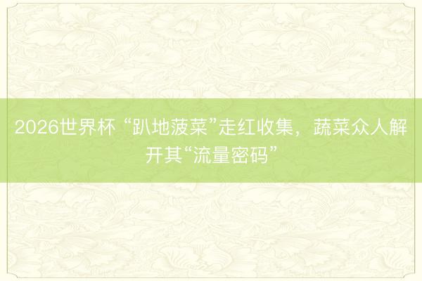 2026世界杯 “趴地菠菜”走红收集,蔬菜众人解开其“流量密码”