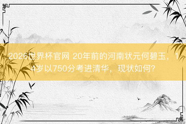 2026世界杯官网 20年前的河南状元何碧玉,14岁以750分考进清华,现状如何?