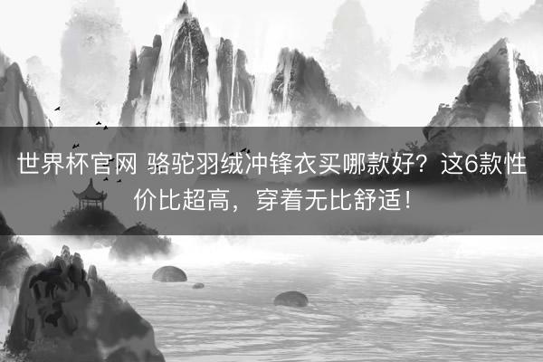 世界杯官网 骆驼羽绒冲锋衣买哪款好？这6款性价比超高，穿着无比舒适！