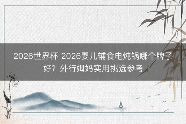 2026世界杯 2026婴儿辅食电炖锅哪个牌子好？外行姆妈实用挑选参考