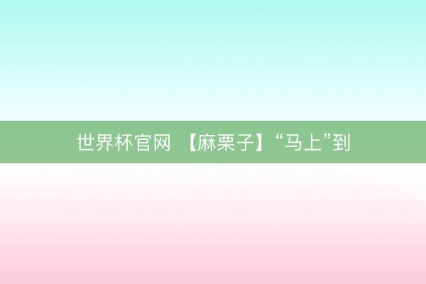 世界杯官网 【麻栗子】“马上”到