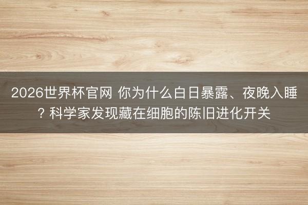 2026世界杯官网 你为什么白日暴露、夜晚入睡? 科学家发现藏在细胞的陈旧进化开关