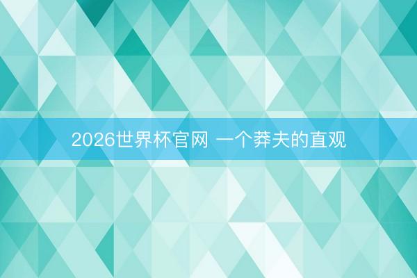 2026世界杯官网 一个莽夫的直观