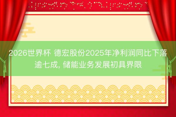 2026世界杯 德宏股份2025年净利润同比下落逾七成， 储能业务发展初具界限