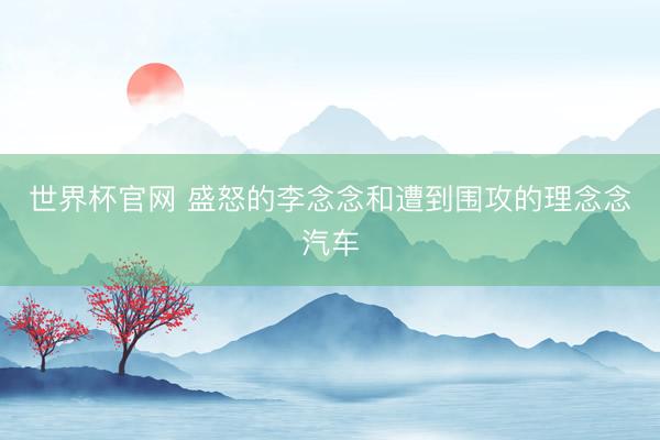 世界杯官网 盛怒的李念念和遭到围攻的理念念汽车