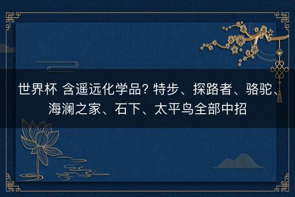 世界杯 含遥远化学品? 特步、探路者、骆驼、海澜之家、石下、太平鸟全部中招