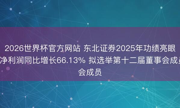 2026世界杯官方网站 东北证券2025年功绩亮眼: 净利润同比增长66.13% 拟选举第十二届董事会成员