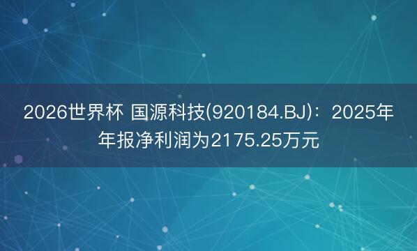 2026世界杯 国源科技(920184.BJ)：2025年年报净利润为2175.25万元