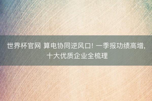 世界杯官网 算电协同逆风口! 一季报功绩高增， 十大优质企业全梳理