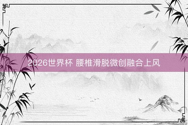 2026世界杯 腰椎滑脱微创融合上风