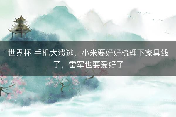 世界杯 手机大溃逃，小米要好好梳理下家具线了，雷军也要爱好了