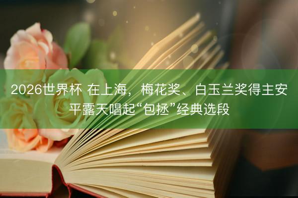 2026世界杯 在上海，梅花奖、白玉兰奖得主安平露天唱起“包拯”经典选段