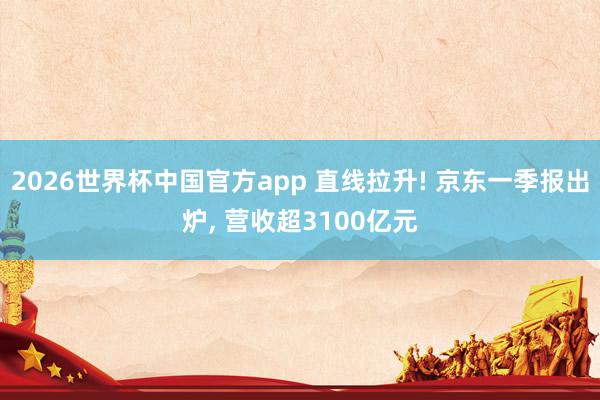 2026世界杯中国官方app 直线拉升! 京东一季报出炉， 营收超3100亿元