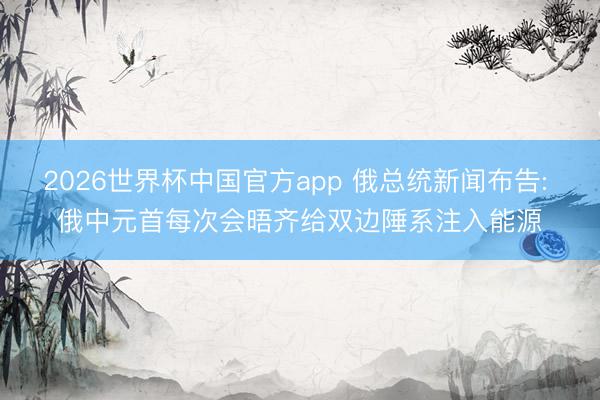 2026世界杯中国官方app 俄总统新闻布告: 俄中元首每次会晤齐给双边陲系注入能源