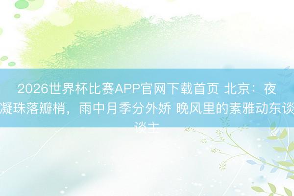 2026世界杯比赛APP官网下载首页 北京：夜雨凝珠落瓣梢，雨中月季分外娇 晚风里的素雅动东谈主