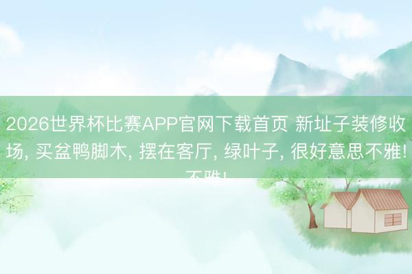 2026世界杯比赛APP官网下载首页 新址子装修收场， 买盆鸭脚木， 摆在客厅， 绿叶子， 很好意思不雅!
