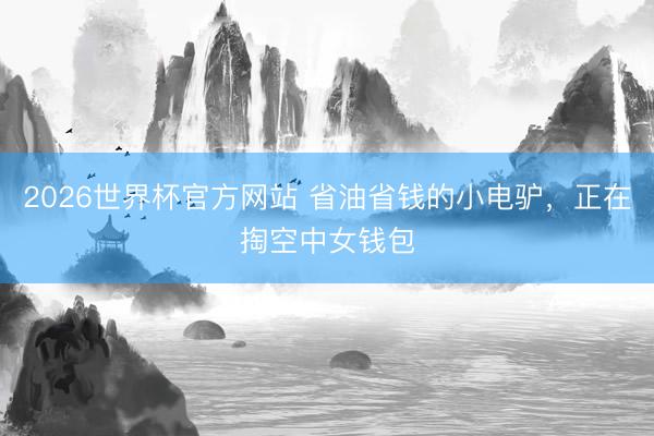 2026世界杯官方网站 省油省钱的小电驴，正在掏空中女钱包