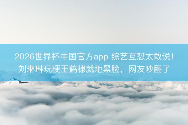 2026世界杯中国官方app 综艺互怼太敢说！刘琳琳玩梗王鹤棣就地黑脸，网友吵翻了