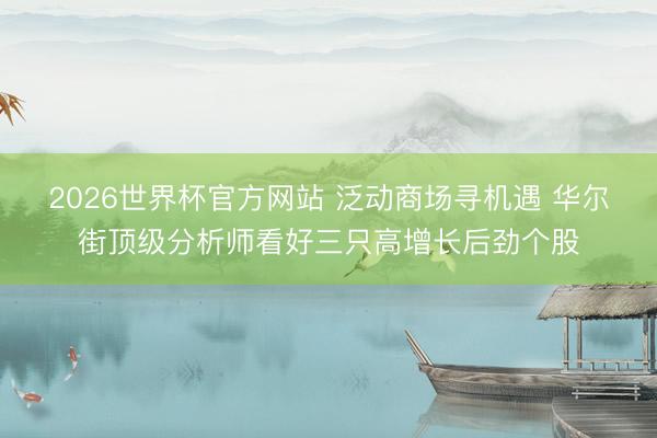 2026世界杯官方网站 泛动商场寻机遇 华尔街顶级分析师看好三只高增长后劲个股