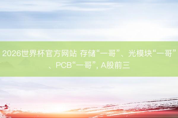 2026世界杯官方网站 存储“一哥”、光模块“一哥”、PCB“一哥”， A股前三